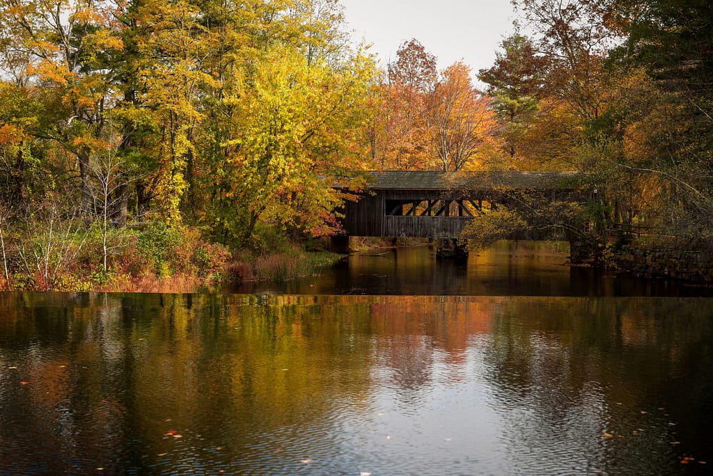 Photo of footbridge in the woods near Holland, MA.